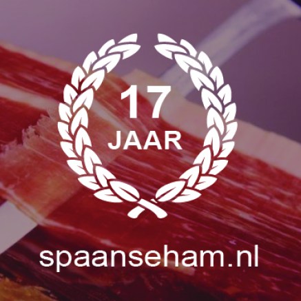 logo SH 17jaar